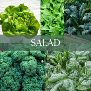 salad greens