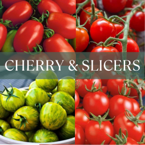 cherry tomatoes
