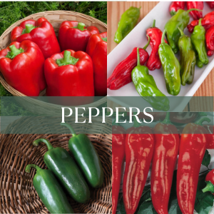 Peppers