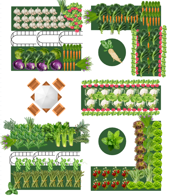 Planting plan raised bed vegetable garden